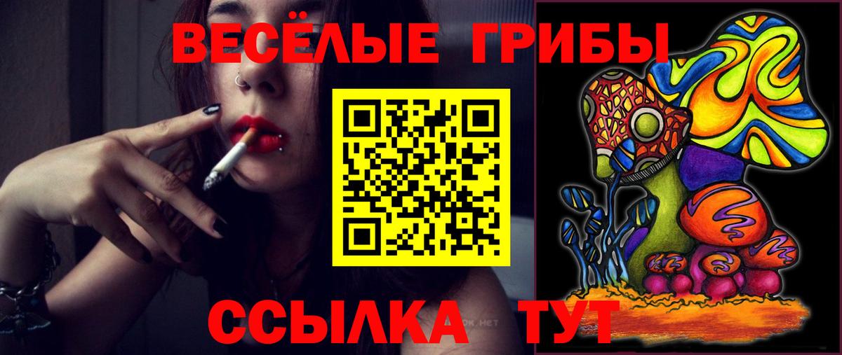 Псилоцибиновые грибы мицелий Мценск