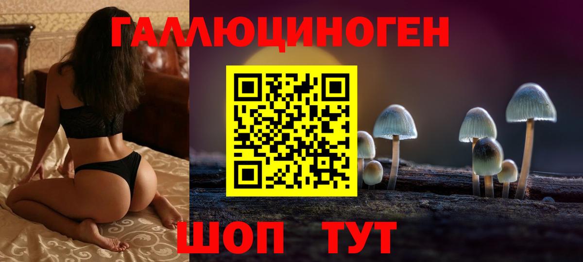 Псилоцибиновые грибы мицелий  Псилоцибиновые грибы мицелий  Мценск  дарнет шоп  Вход с VPN 